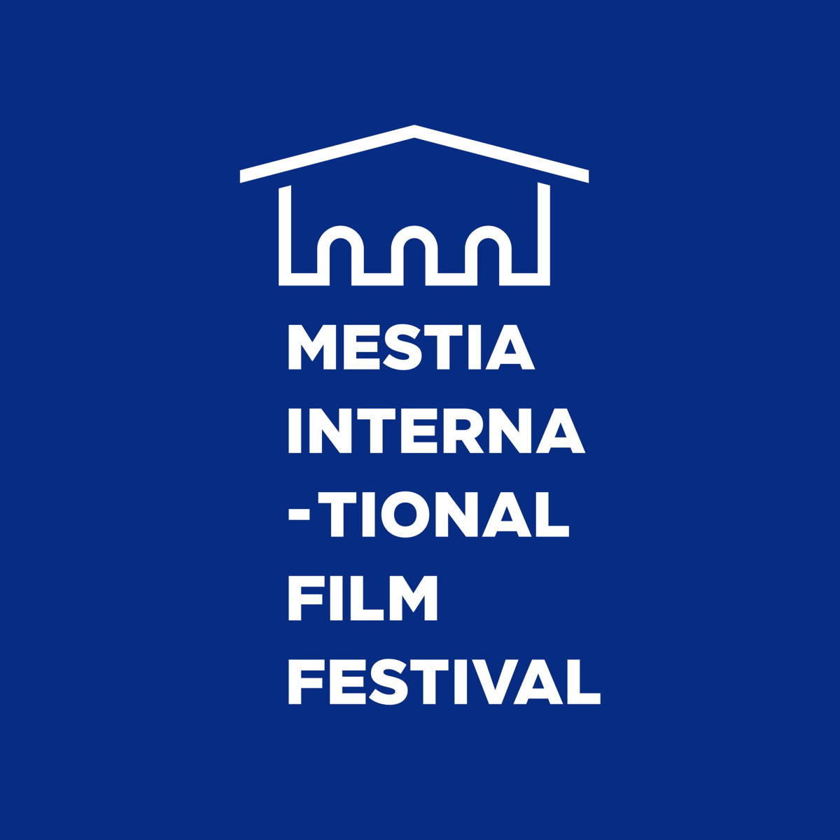 film festival2.jpg